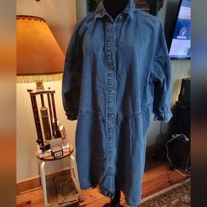 Lightly Distressed Denim Button-Up Dress